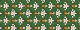 Fiori(フラワー)