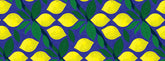 Frutti(フルーツ)