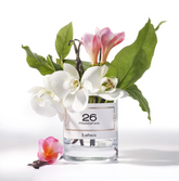 26 Frangipani - キャンドル