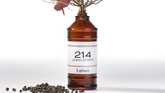 再入荷（パッケージリニューアル）のお知らせ｜オーデパルファム 214 Legno Di Pepe 120mL