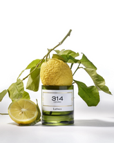 314 Cedro - キャンドル